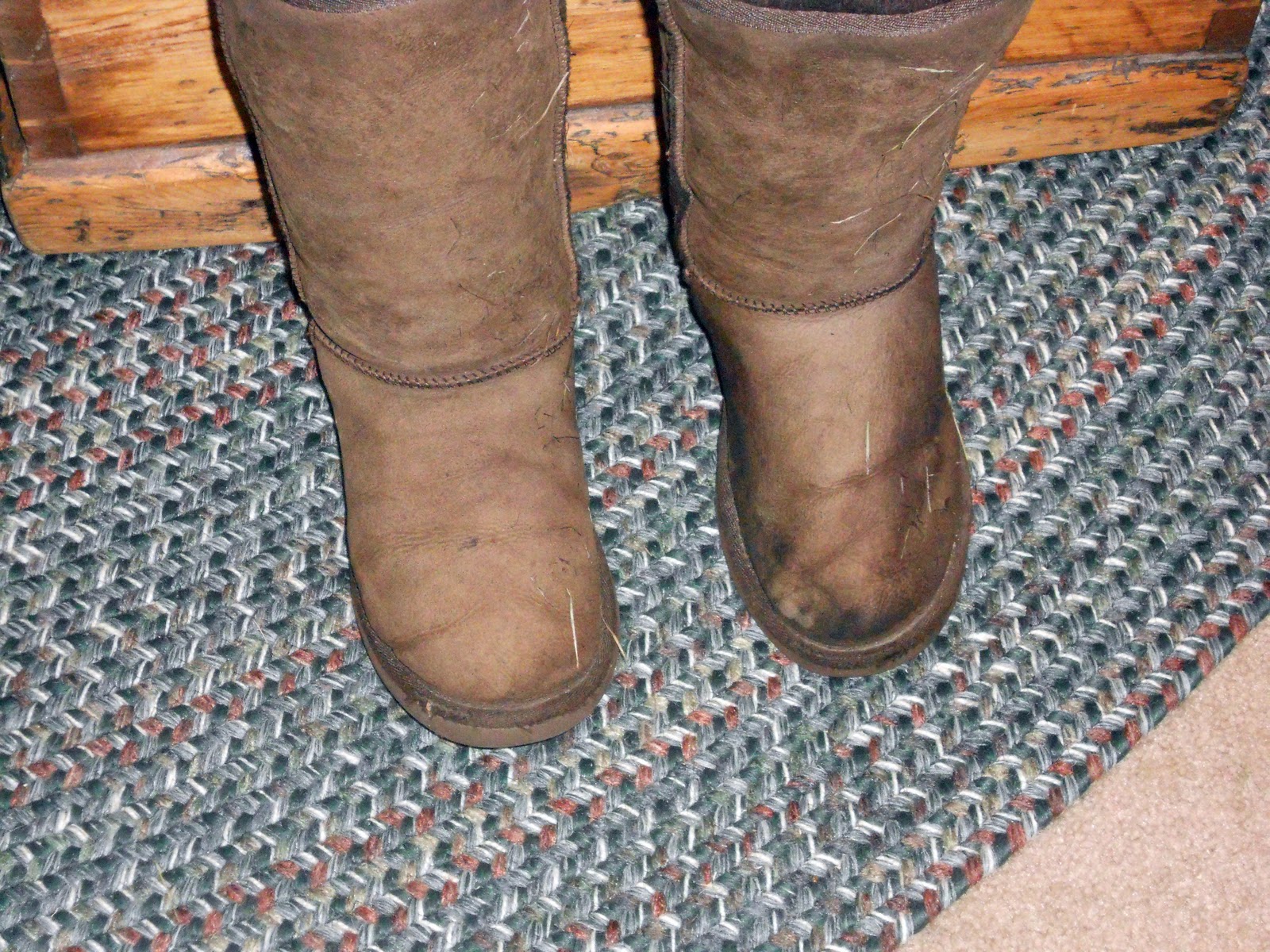 The UGG Boot Dying Project â Trial 1 â The Mad Recycler