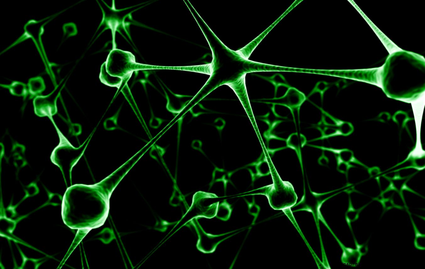 Wallpaper HD Green in High Resolution – Design Inspiration