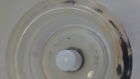 Cara Menghilangkan Noda Hitam Di Karet Dot Bayi