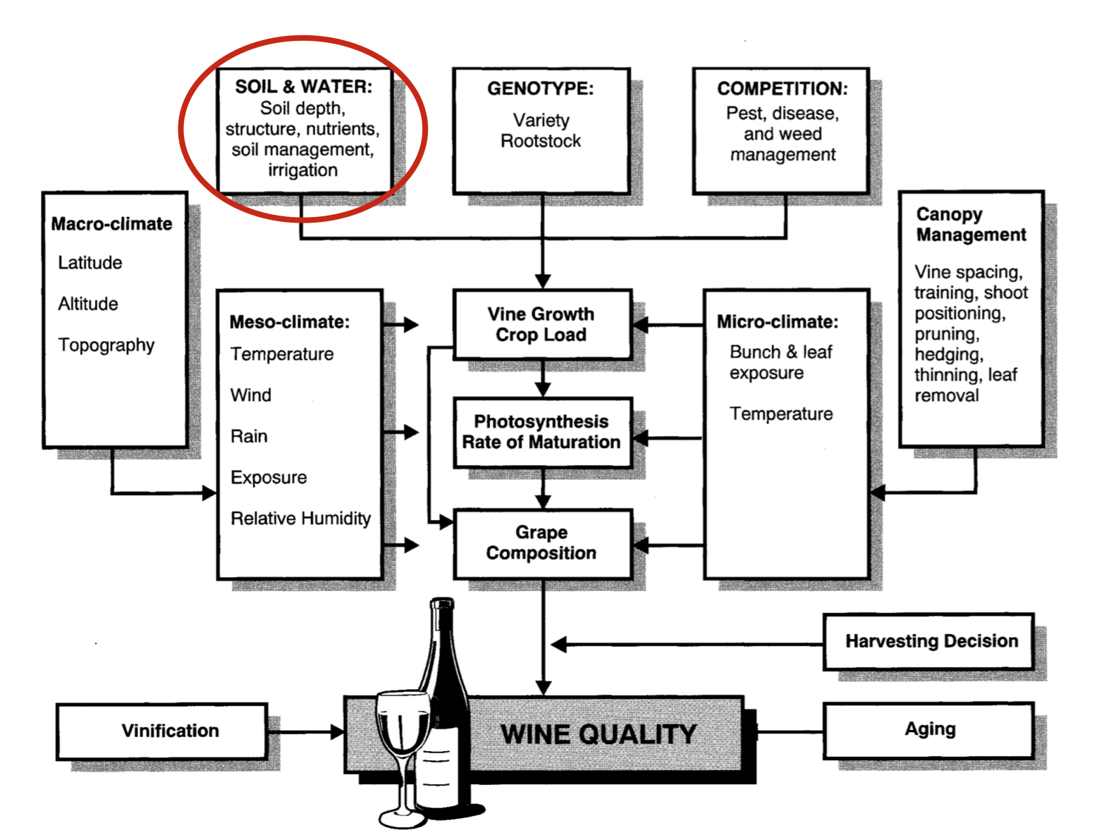 EnoViti In Search of Wine Quality Soil and Water