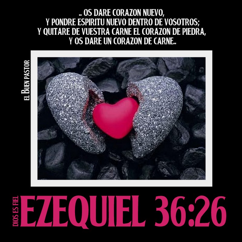 YO SOY EL BUEN PASTOR Ezequiel 36 26 yo-soy-el-buen-pastor-ezequiel-36-26