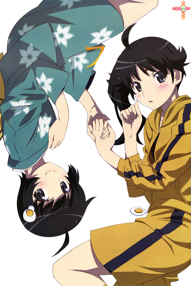 Monogatari Series Araragi Karen And Araragi Tsukihi Render 1