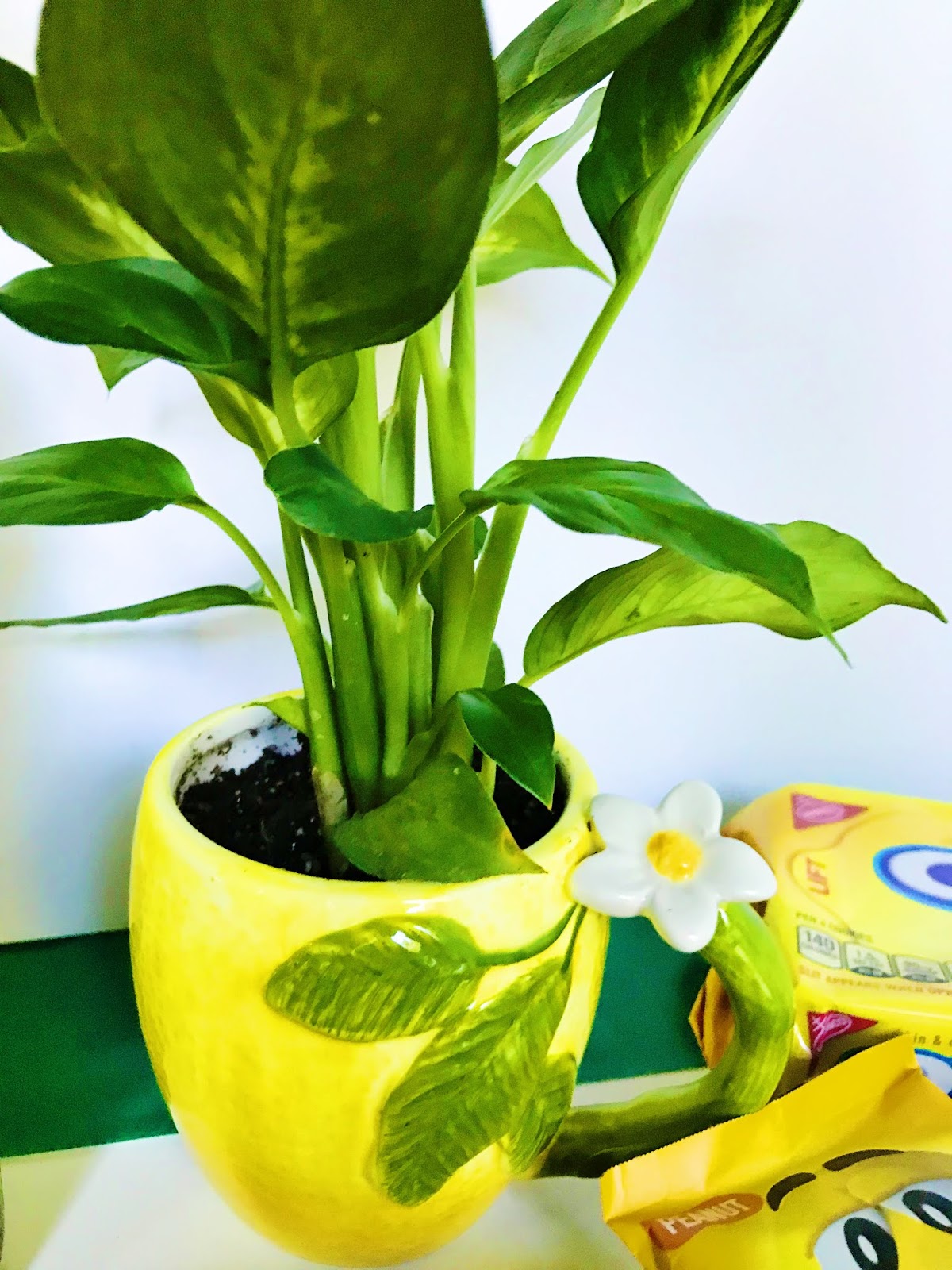 michelle paige blogs: Make a Yellow Lemon Themed Gift Basket