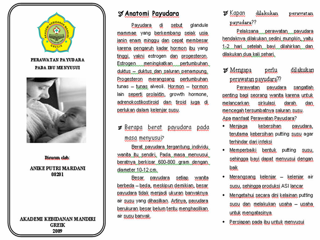 Anike Putri Mardani: LEAFLET PERAWATAN PAYUDARA PADA IBU MENYUSUI