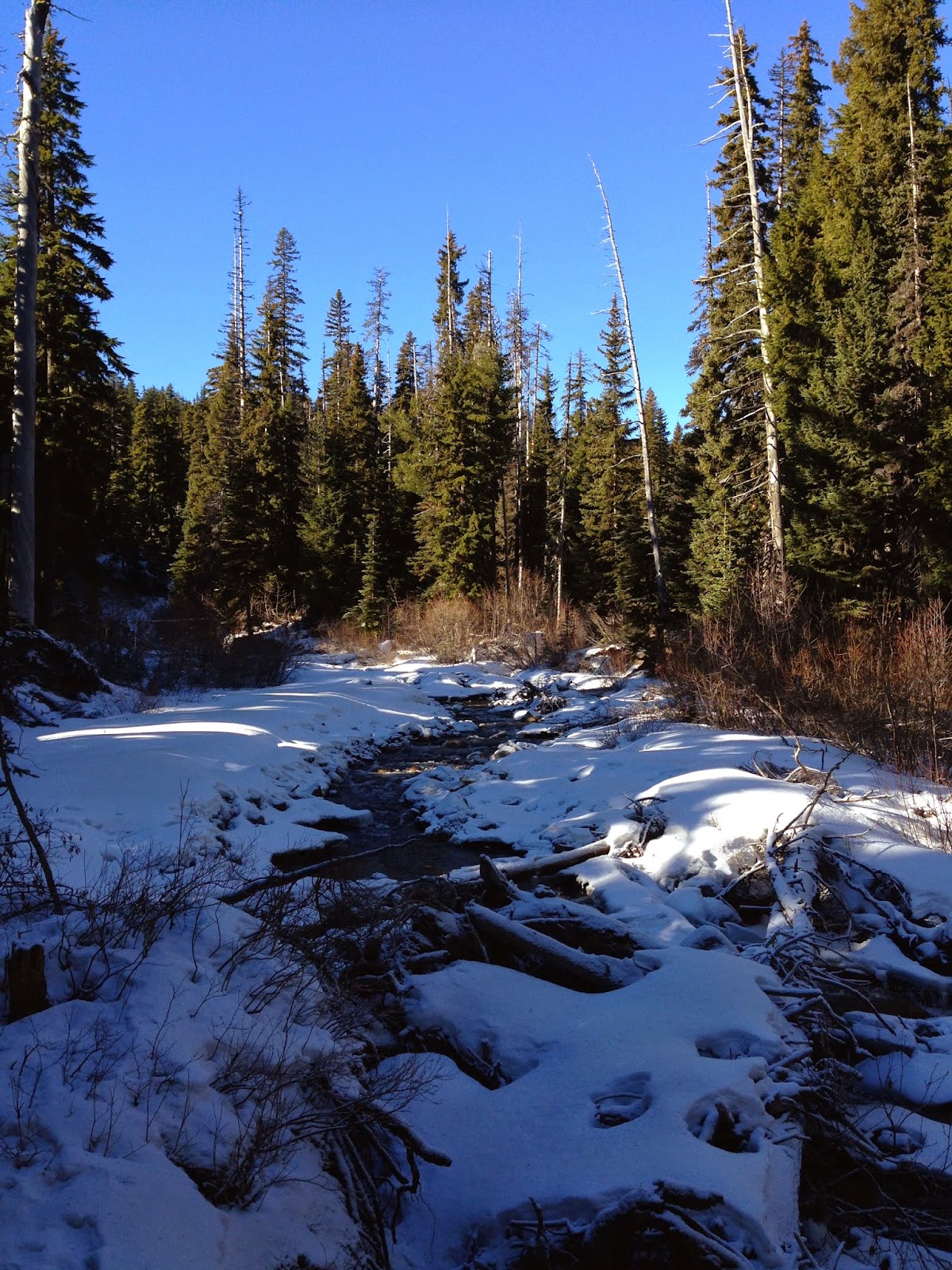 Elk Meadows, Mt. Hood Wilderness take a hike