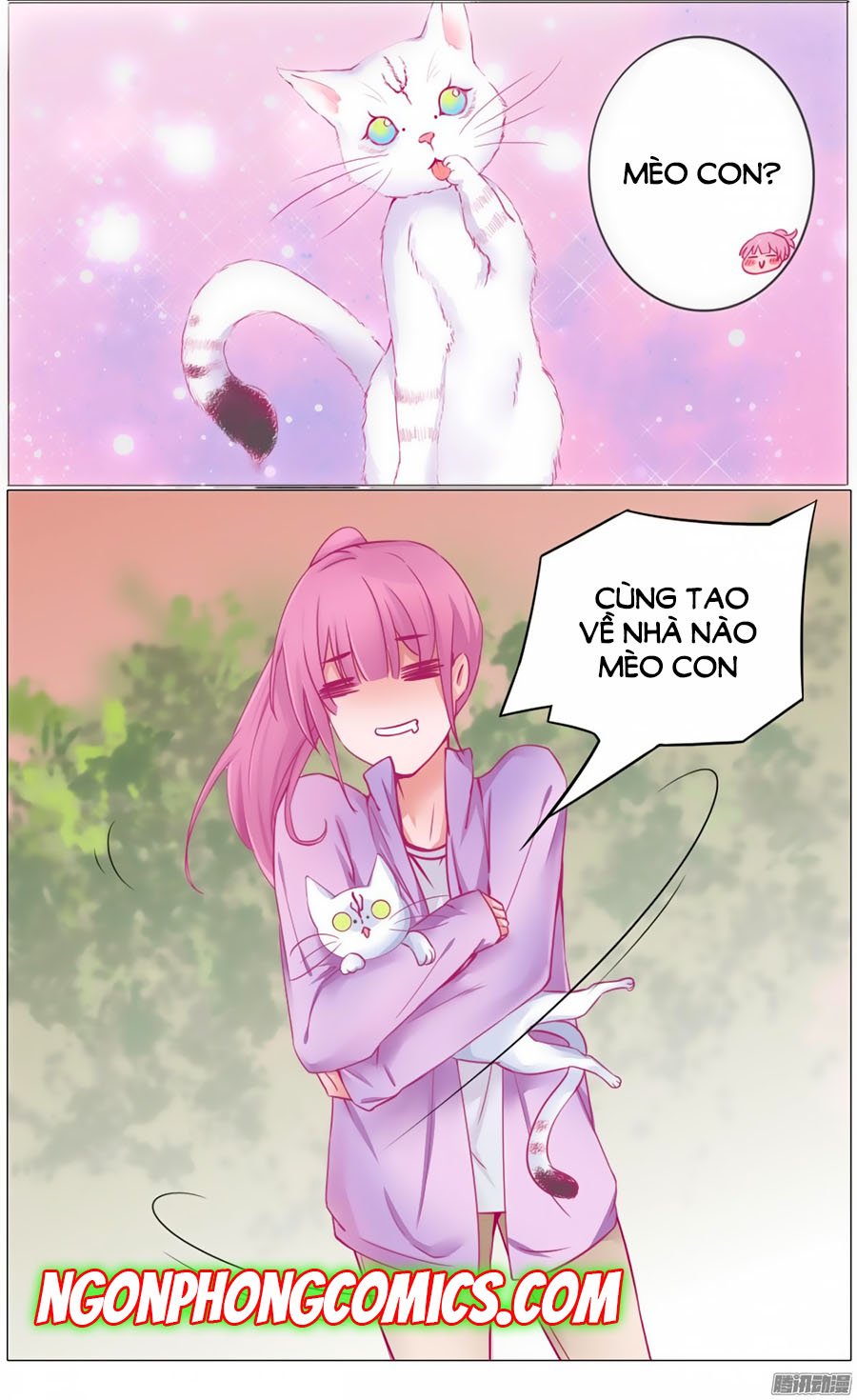 Hello Miêu Tiên Sinh - Chương 1 - Trang 20