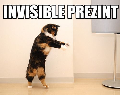 lolcat_invisioble_present_funny_pictures.jpg