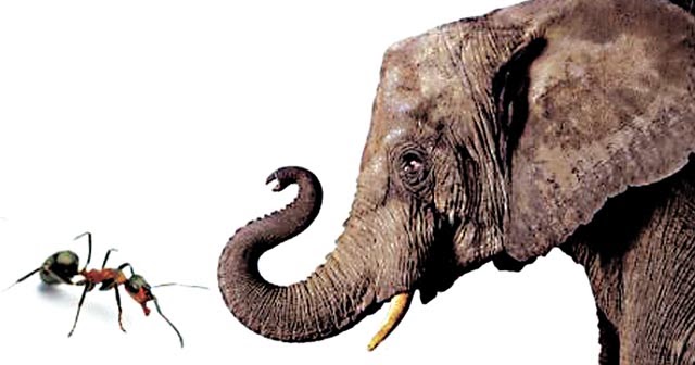 Berikut Gajah Eleh Ku Sireum Orang Sunda Kreatif Lagu Bahasa Sunda Lirik