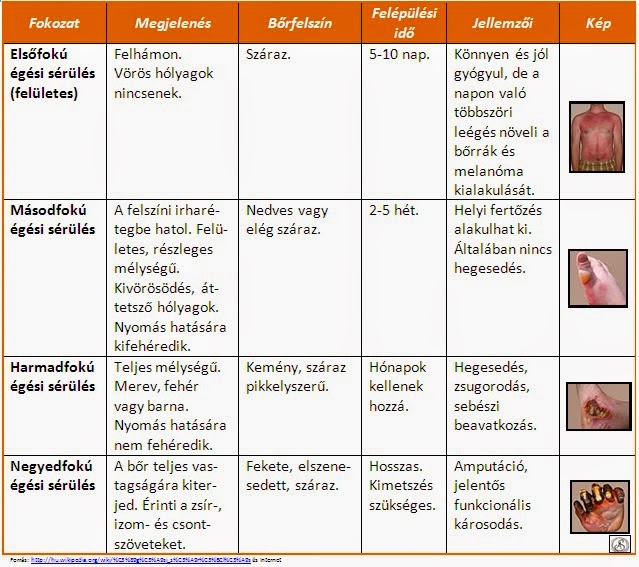 A krónikus prosztatitis betegségének oka