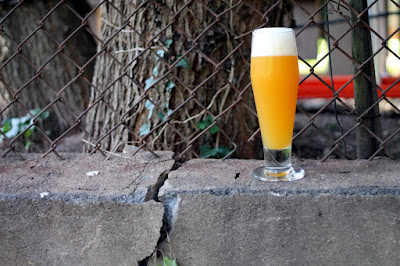 Apricot Quick Sour with Citra and Amarillo.