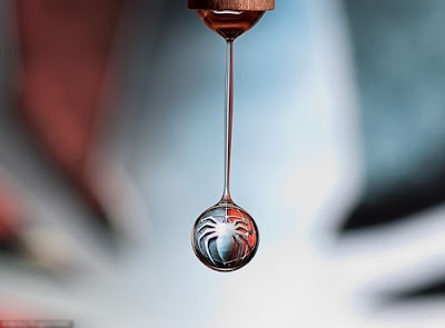 Imagenes en una gota de agua - logo Spiderman