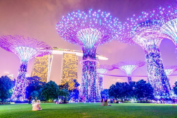 新加坡-滨海湾花园