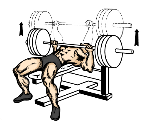 Punjabi Bodybuilders Decline Barbell Bench Press Exercise