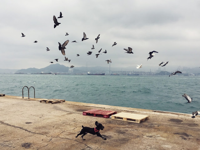 Instagram Pier, Hong Kong