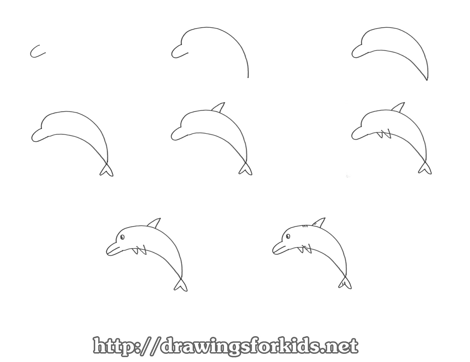 How to draw a Dolphin for kids