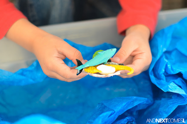 Close up of preschooler's hands in an ocean themed sensory bin