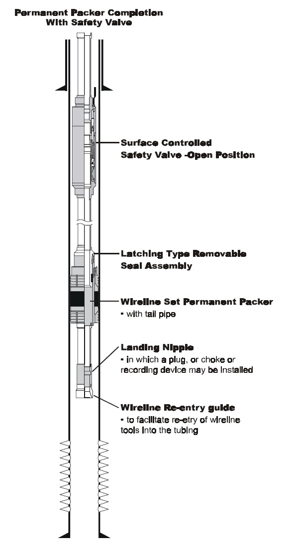 Completion Components lec ( 7 ) |petroleum