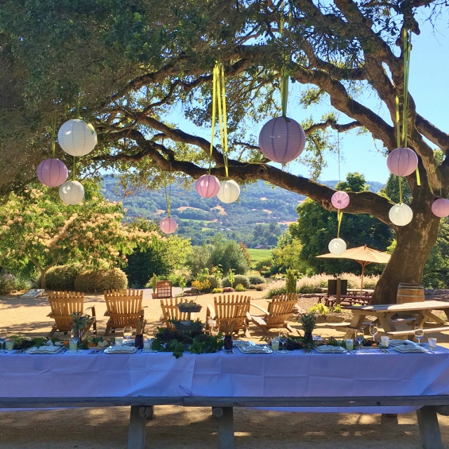 ...a quiet life... book club field trip