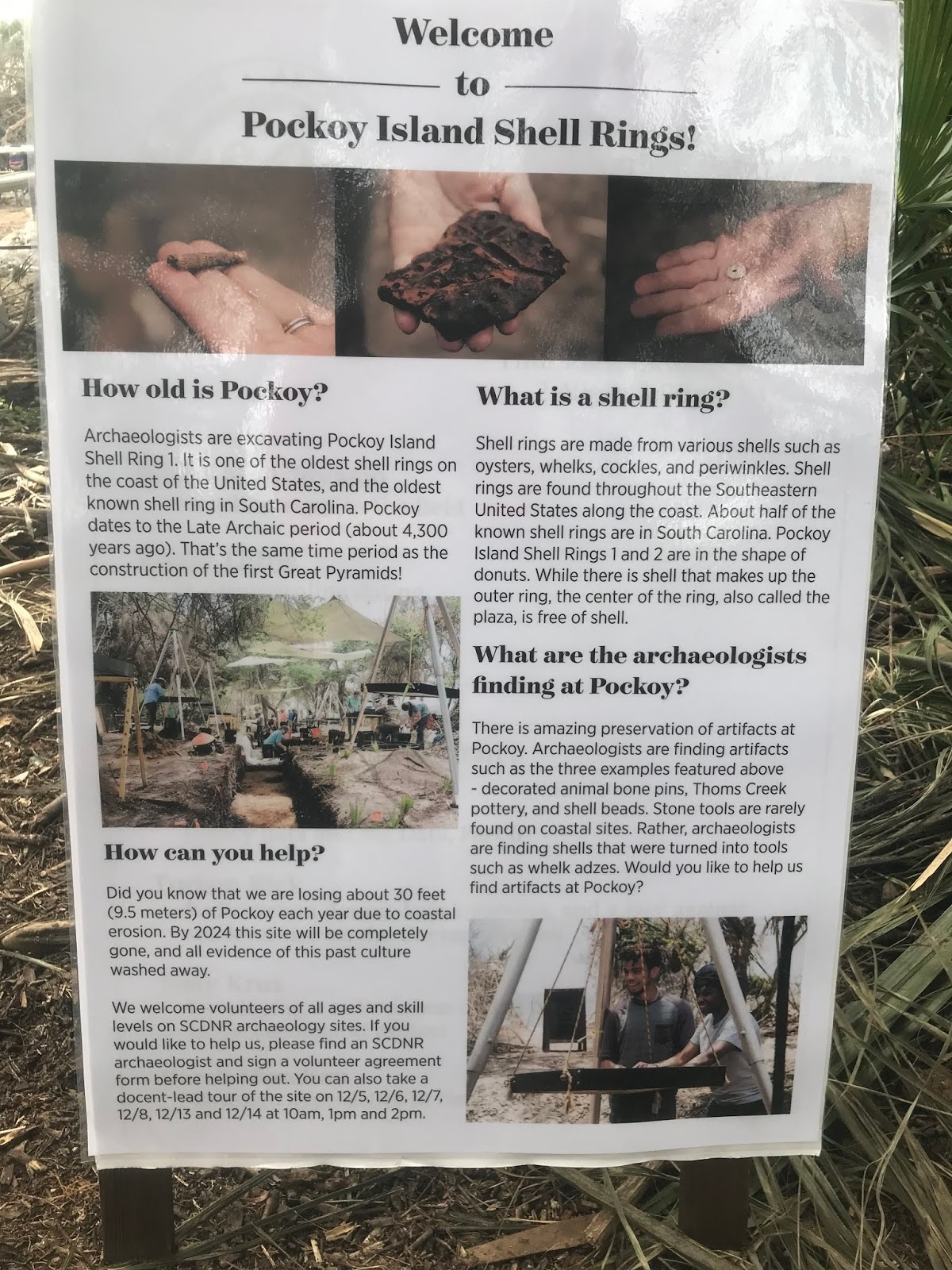 Notes from the Field: Erosion at Pockoy Shell Rings, SC