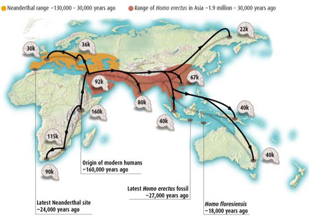 loving Anthropology: Where do anthropologists think different races ...