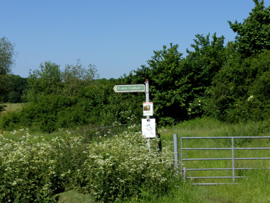 Photograph of the gate close to site BrP4 west of Brookmans Park and south of Bradmore Lane, one of the site's being considered for housing Image by David Brewer released under Creative Commons BY-NC-SA 4.0 