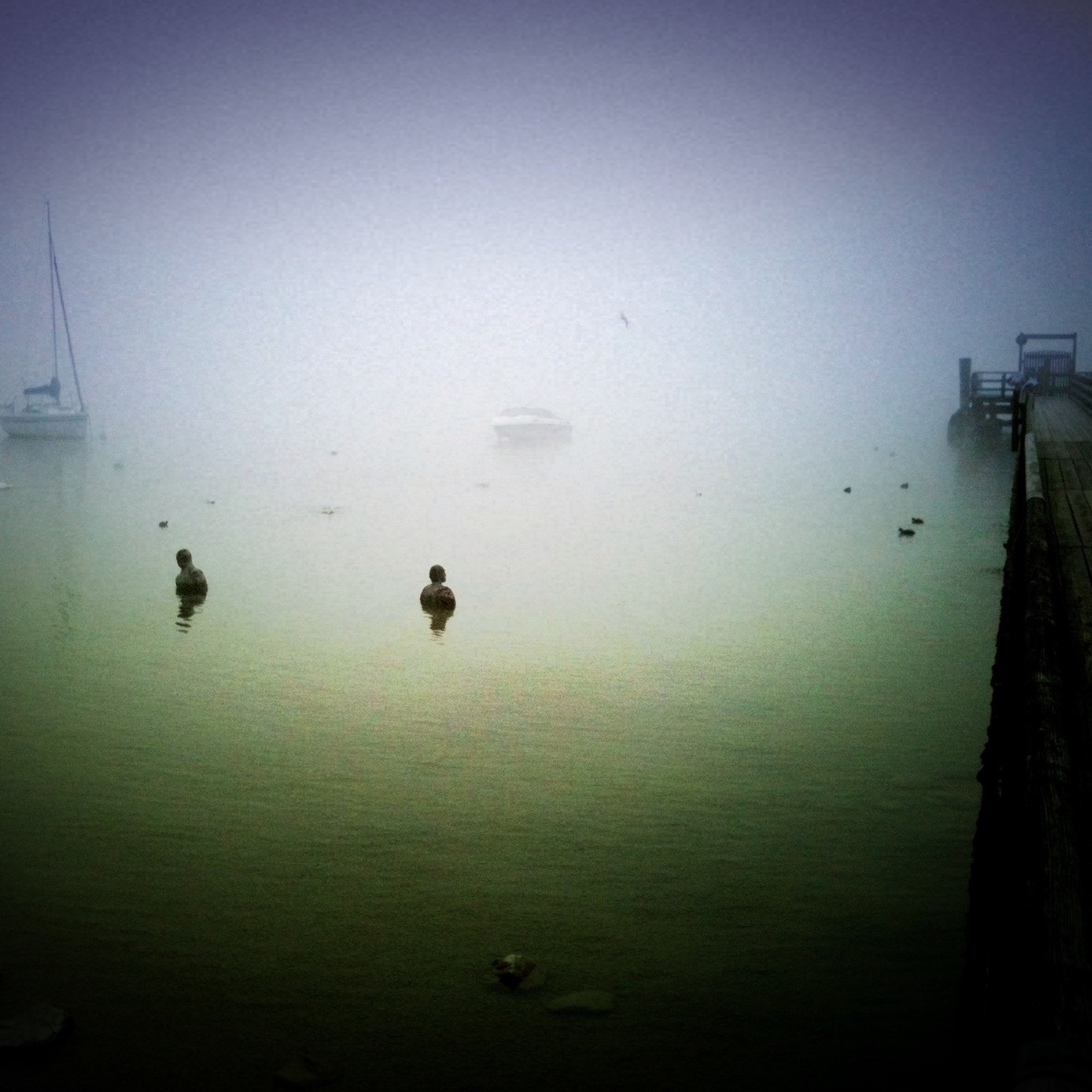 Neuigkeiten Vom Goggolori