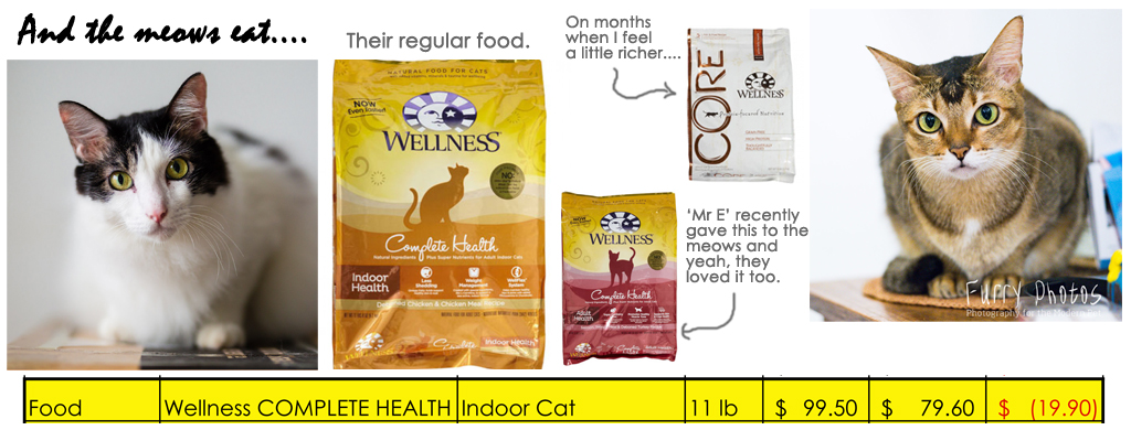  Wellness Cat Food
