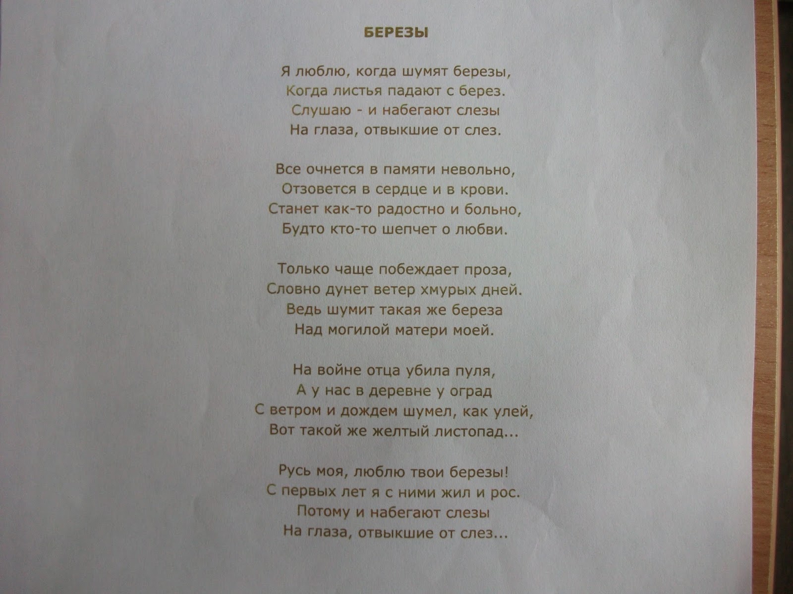 Шумите березы на белорусском. Текст песни вы шумите березы. Песня вы шумите шумите надо мною. Текст песни вы шумите. Текст песни вы шумите шумите.