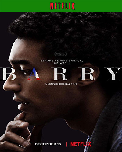 Barry (2016) 1080p NF WEB-DL Dual Audio Latino-Inglés [Subt. Esp] (Drama)