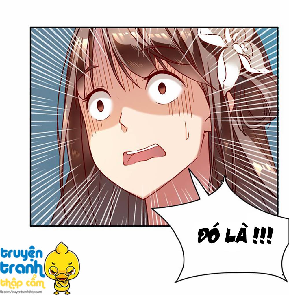 Cẩm Lý Quy Chap 2 - Next Chap 3