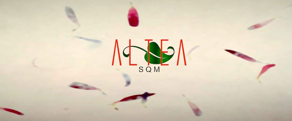 ALTEA-SQM síndrome sensibilidad quimica multiple