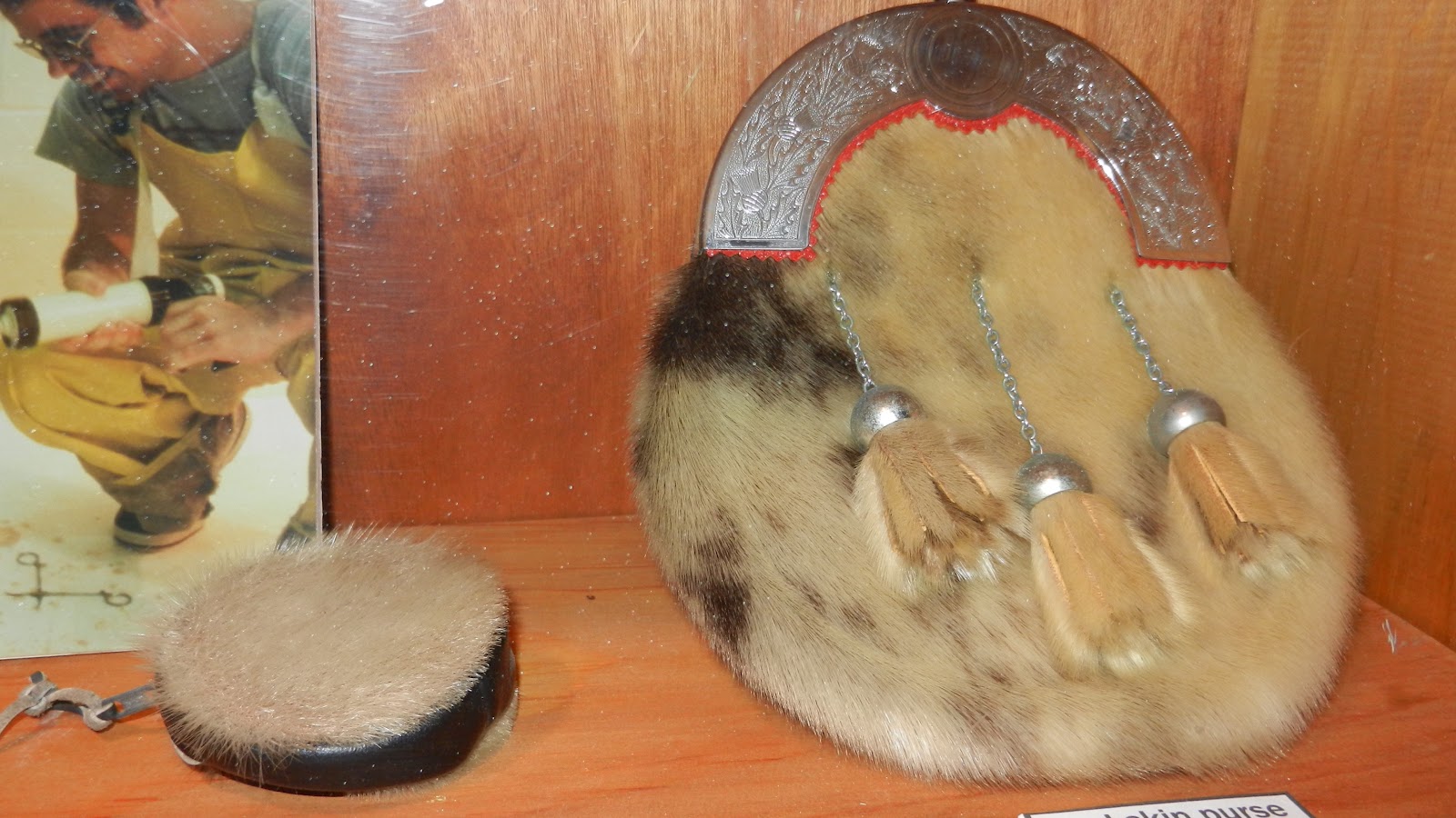 Kuweight 64 MY PHOTOS FOR THE DAY LOVELY SEAL SKIN PRODUCTS