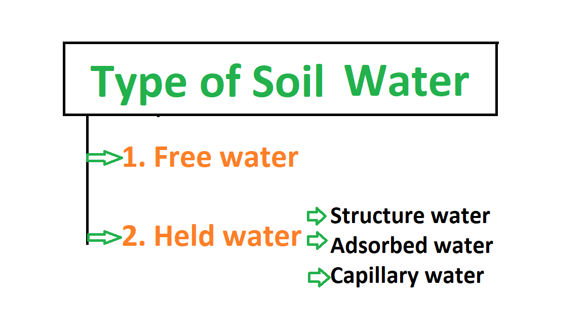 How [Capillary Action of Water] Movement Work in Soil