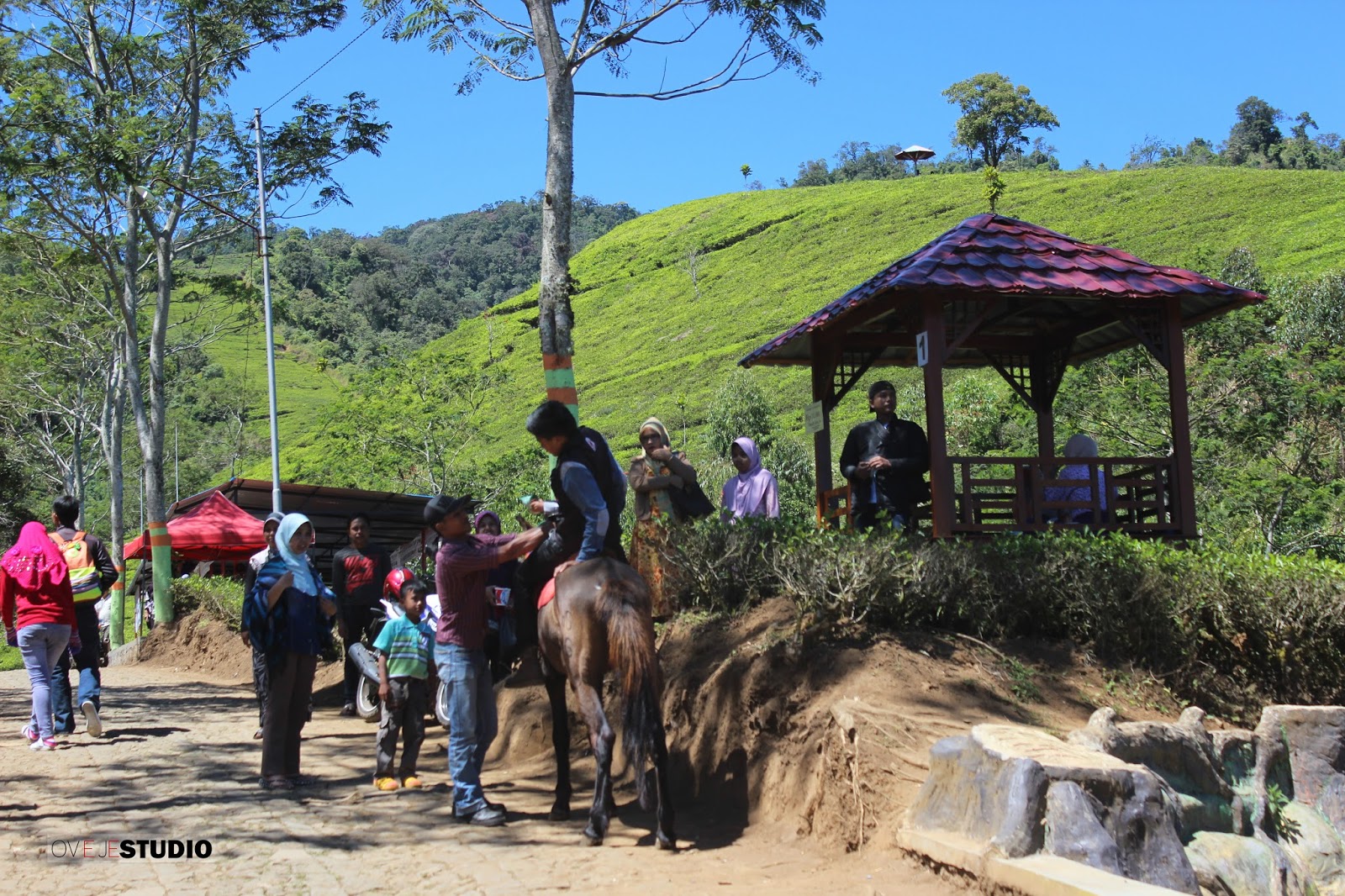 Agro Wisata Tuk Bening Kaligua | Plat-G Adventure