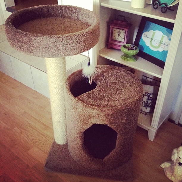 This Crazy Life...Michelle Underwood Designs Molly and Friends Cat Furniture Co. Review
