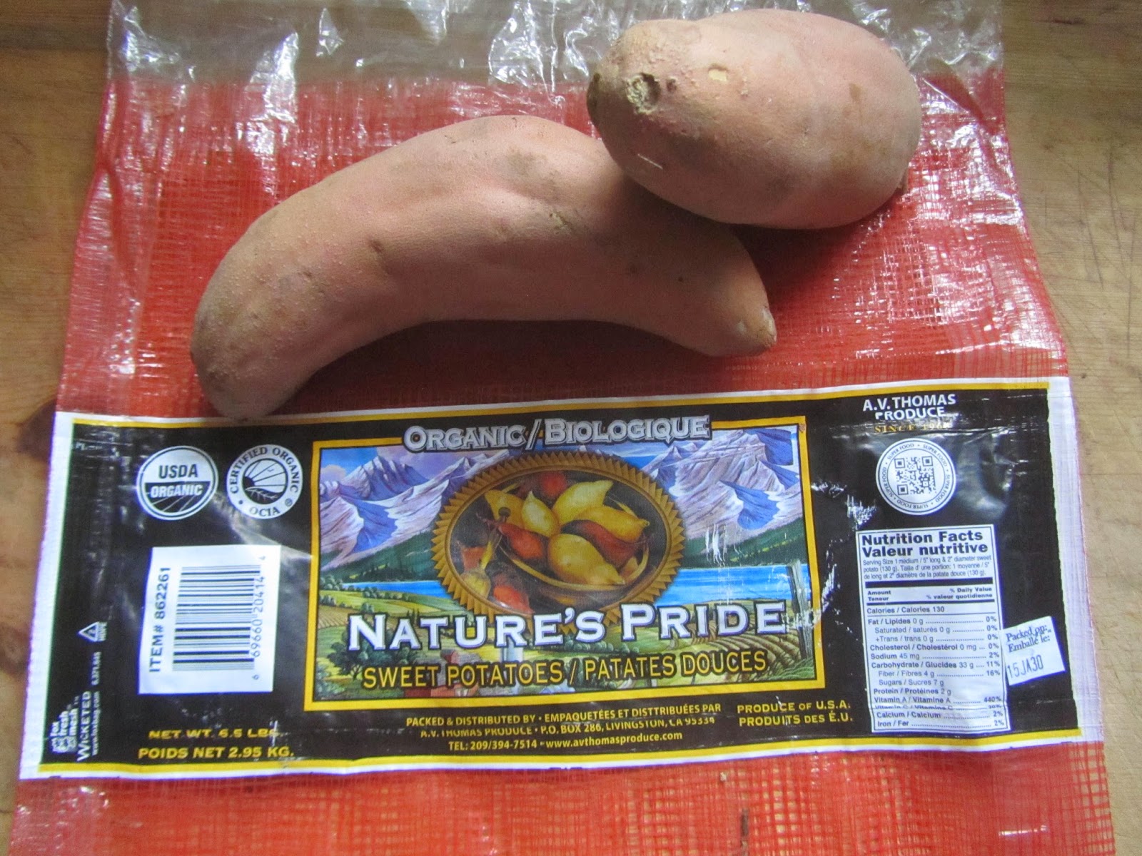 Jen & the Bean stalk Starting Sweet Potato Slips