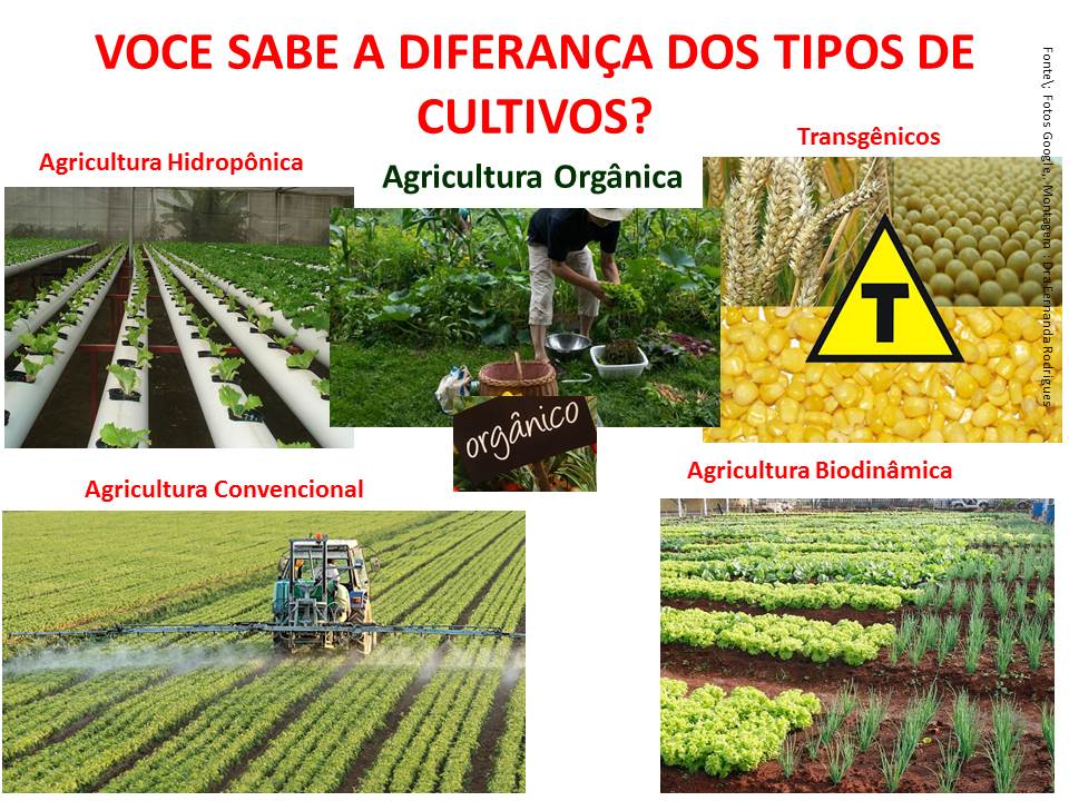 Tipos de agricultura no Brasil