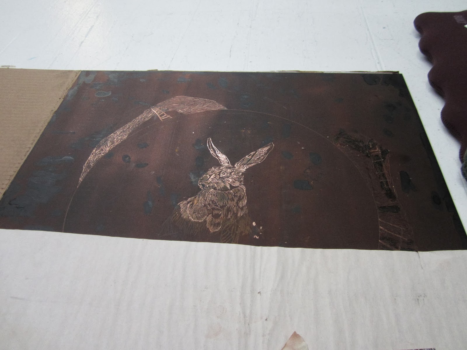 Elizabeth D&rsquo;Agostino