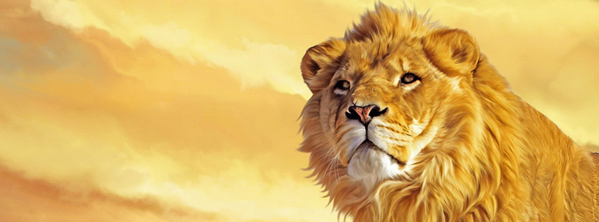 Lion_king_wallpaper.jpg