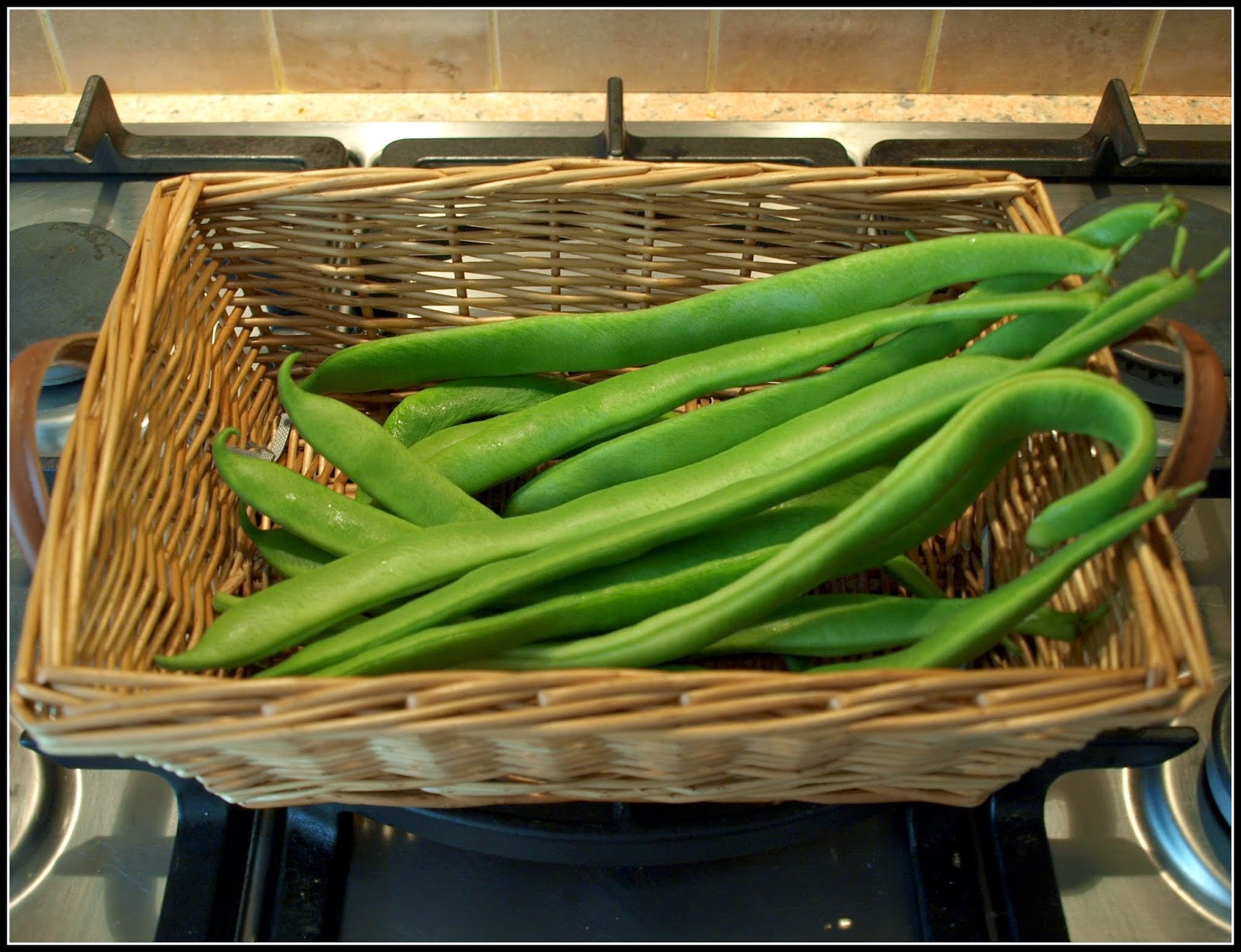 Mark's Veg Plot Runner Bean "Scarlet Empire"