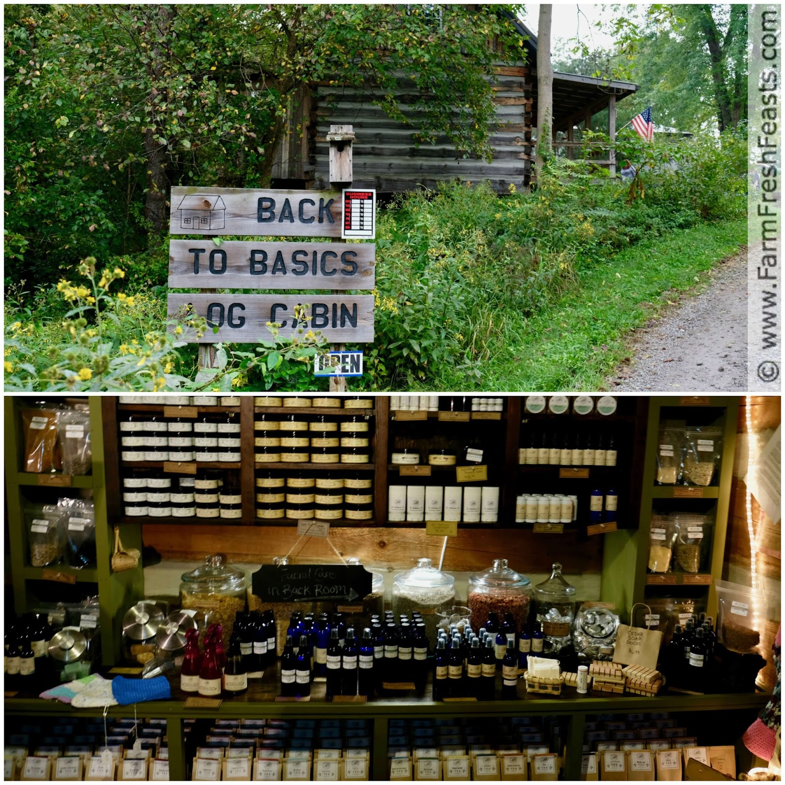 Farm Fresh Feasts Agritourism Adventures in Marietta, Ohio