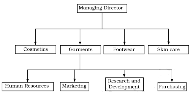 Divisional Structure