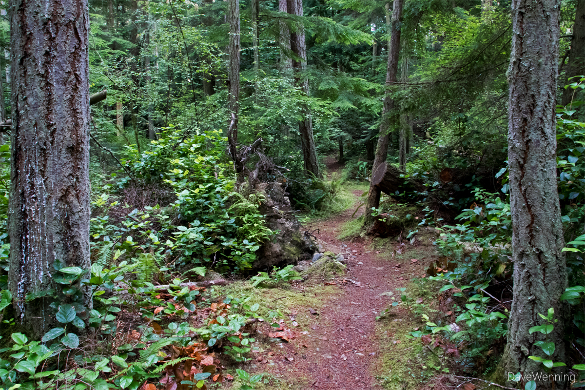 The Last Trail Goose Rock to Bay Road