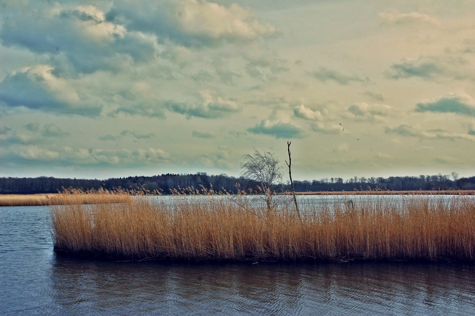 Mein Lübeck. Schellbruch*