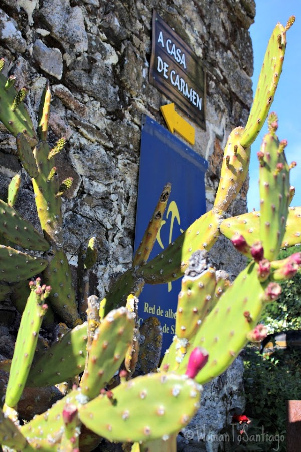 foto albergue a casa de carmen