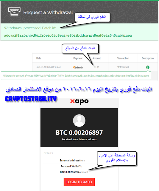 ���� cryptostability ��������� ������� Bitcoin cryptostability 16.png