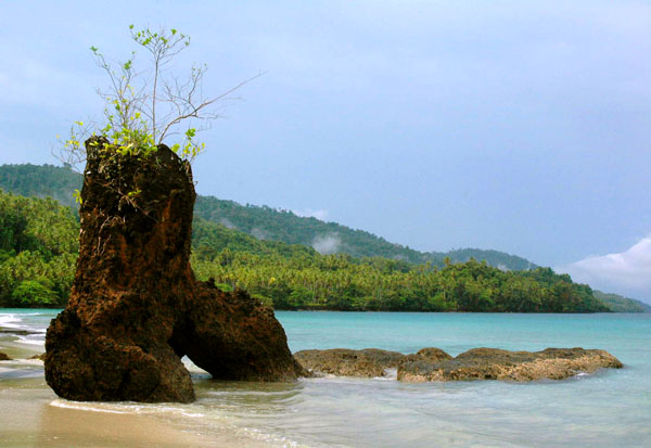 batu kopi di pantai posiposi rao - Tourism Places Indonesia