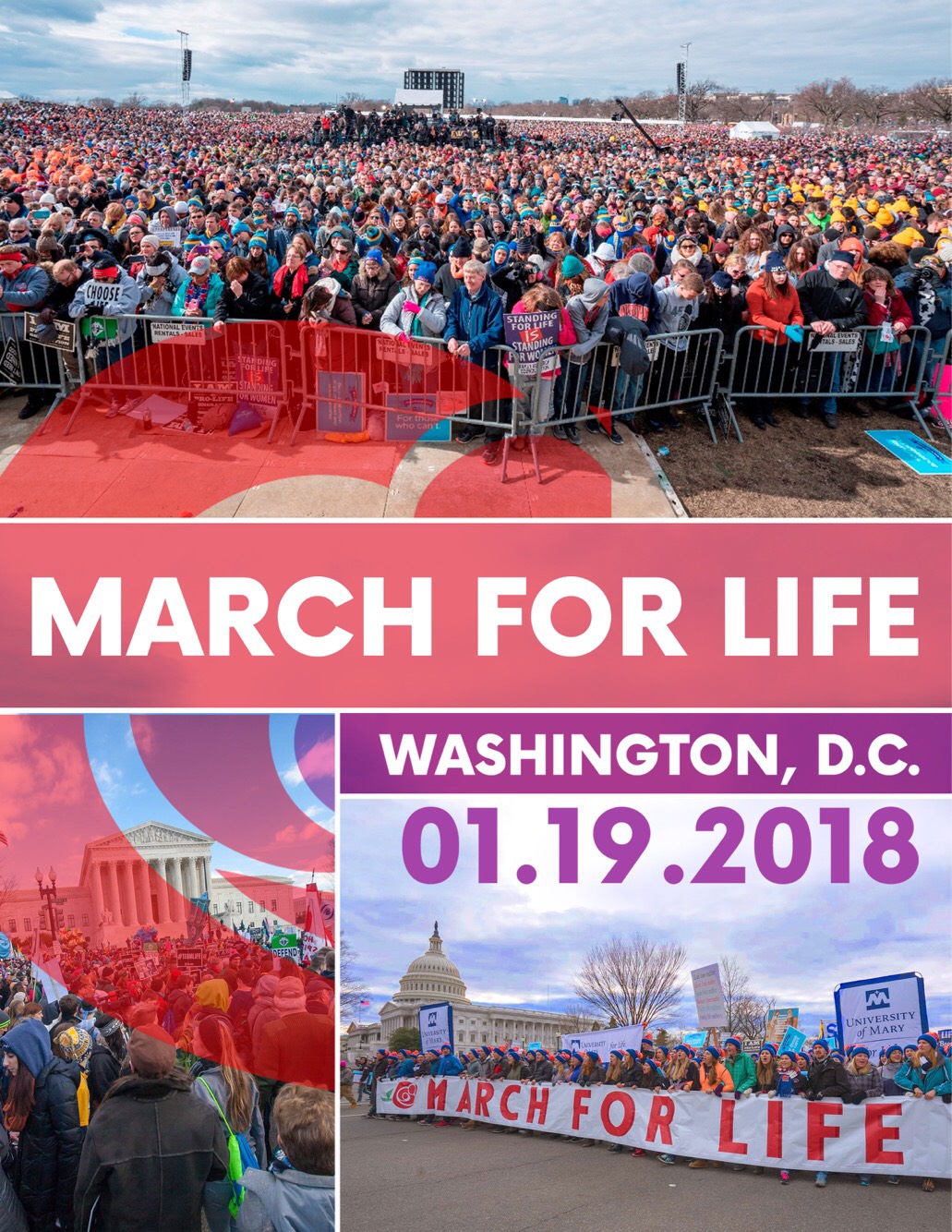 Illinois Federation for Right to Life: President Trump to address March for Life via ...1031 x 1334