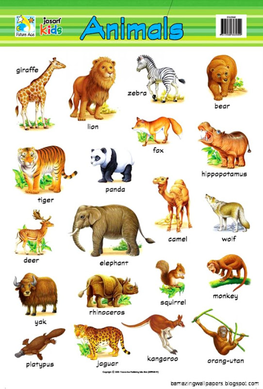 Domestic Animals Chart | Amazing Wallpapers