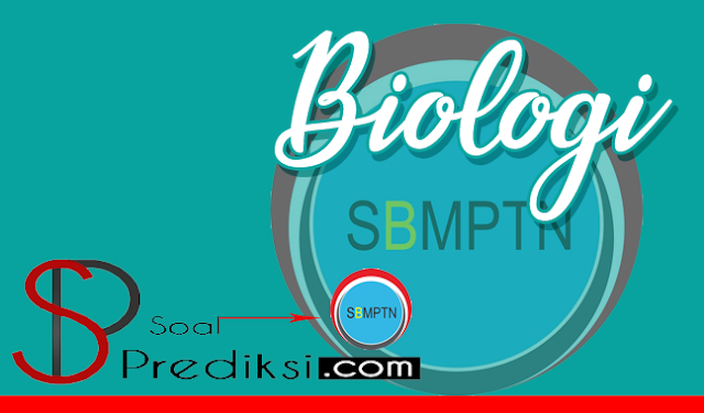 √ +100 Latihan Soal SBMPTN Biologi 2019 dan Kunci Jawaban (+Pdf) √ +100 Latihan Soal SBMPTN Biologi 2019 dan Kunci Jawaban (+Pdf)
